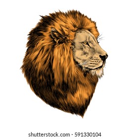 lion proud, face in profile, looking into the distance, sketch, vector, color image, mane of red hair