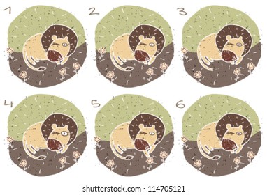 Lion Puzzle ... Task: Find two images that are alike! (match pairs); Answer: No. 1 and 6.