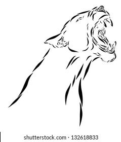 Lion Roaring
