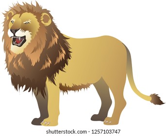 Lion Roaring , Standing Side View , African Savana Wild Life Animal - Vector Illustration