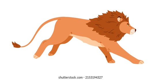 Lion running. Wild feline with mane. African leo profile in motion, chasing and hunting. Male jungle cat hunter with hairy shaggy head. Flat graphic vector illustration isolated on white background