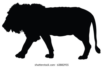 Lion Silhouette