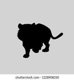 lion silhouette animal isolated 