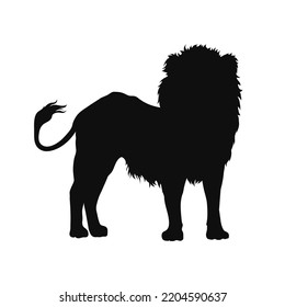 Lion silhouette. Black shape of african animal. Wild savannah king. Isolated leo print. Front view. Savanna scene. Vector illustration
