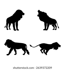 Lion silhouette on white background