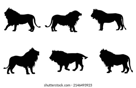 lion silhouette set. isolated vector image on white background