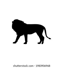 Lion Silhouette - Vector Flat Design Illustration : Suitable for Animal Theme and Other Graphic Related Assets.