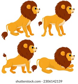 lion sits, stands, walks on a white background. Vector illustration.