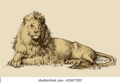 HD Exclusive Realistic Lion Drawing Color - black wallpaper