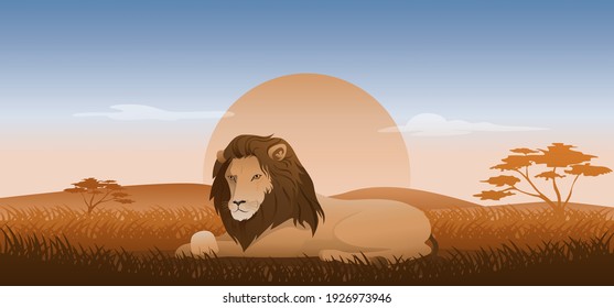 Lion sitting or lying on a grass, wildlife landscape savanna with sunset background, vector illustration