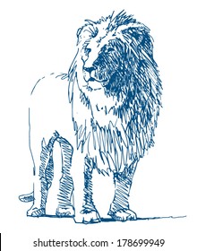 Lion Sketch Drawing On White Background