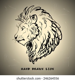 Lion sketch drawing. Vector illustration