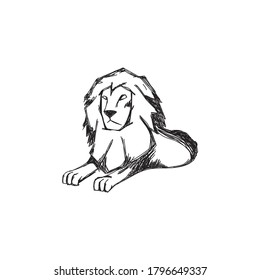 Lion sketch for your design needs