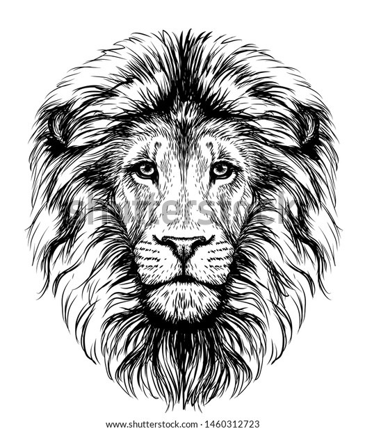 \
Lion. Sketchy, graphical, black and\
white  portrait of a lion\'s head on a white\
background.
