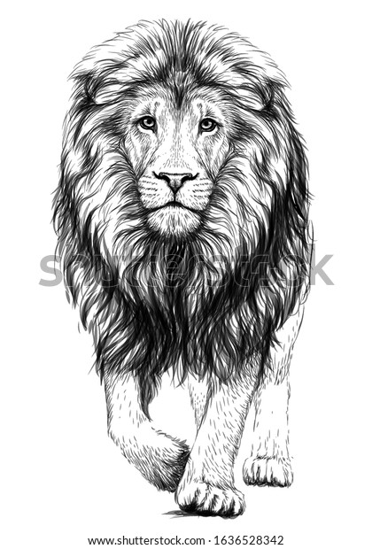 Lion. Sketchy, graphical,\
black and white  portrait of a lion walking forward on a white\
background.