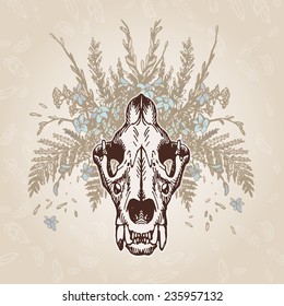 Lion skull on a plumage background. Contains transparent objects
