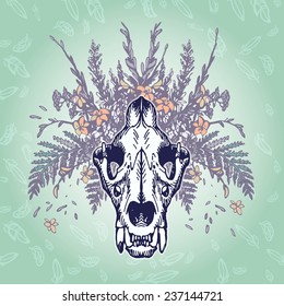 Lion skull on a plumage background. Contains transparent objects