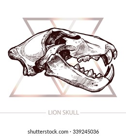 Lion Skull. Trendy T-Shirt Print With Lion Skull