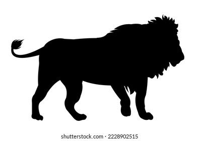 Lion standing African savanna predator. Silhouette picture. Dangerous animal in natural conditions. Isolated on white background. Vector