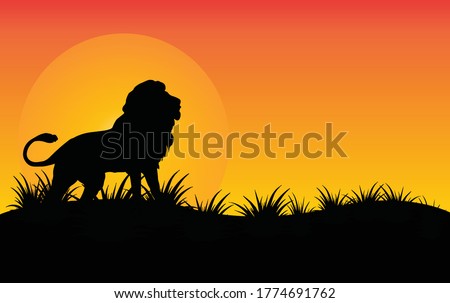 lion standing Against a Sunset Vector illustration,African nature with wild lion.Black silhouette of a lion.
