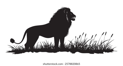 A lion is standing in a field of tall grass