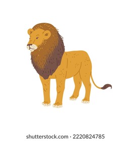 Lion standing side view flat vector illustration isolated on white background. African or Indian lion wild predatory animal. Wildlife, fauna and nature of africa theme.