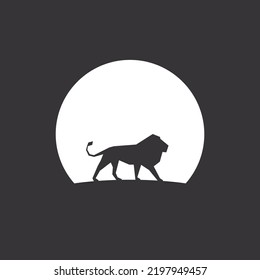 lion with sunset silhouette for animal wildlife tv program logo.