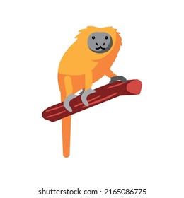 lion tamarin in branch icon isolated