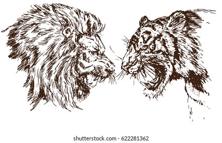 Lion and Tiger growling opposite each other, open an embittered mouth, canines, hand drawn doodle, sketch in pop art style, vector illustration