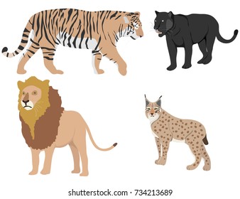 Lion, tiger, panther, lynx. Predators. Flat design, vector illustration, vector.
