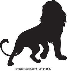 lion vector