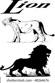 ライオン横顔 のイラスト素材 画像 ベクター画像 Shutterstock