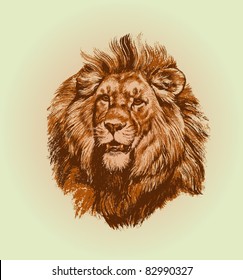 Lion Vector