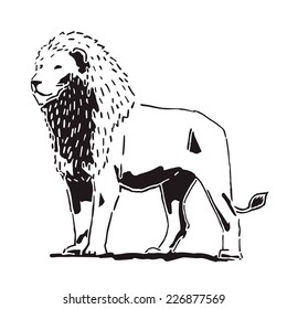 Lion vector drawing isolated on white background