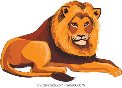 lion vector drawing on a transparent background