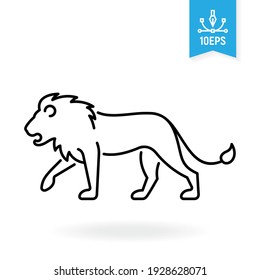 Lion vector icon. Wild animal outline symbol. African savannah fauna.