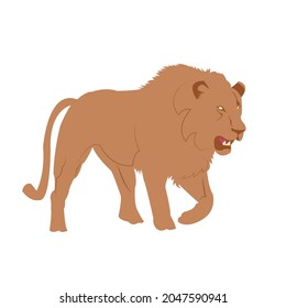 lion vector, for icons or logos for wild animal lovers or nature lovers