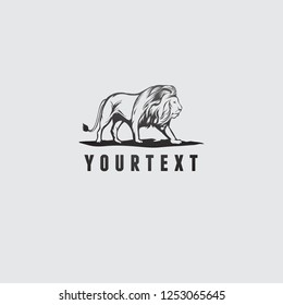 lion vector illustration