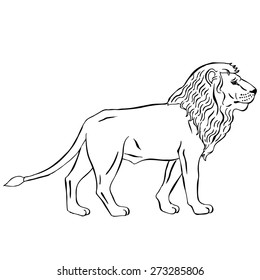 Lion. Vector Illustration