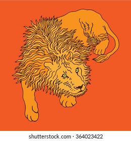 Lion. Vector illustration.