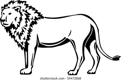 Lion Vector Illustration