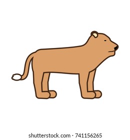 lion vector illustration