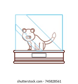  lion  vector illustration
