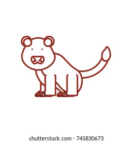 lion vector illustration