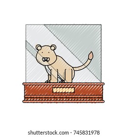 lion vector illustration