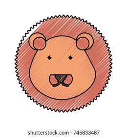 lion vector illustration
