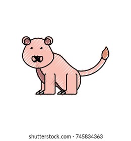 lion vector illustration