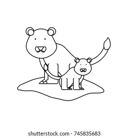 lion vector illustration