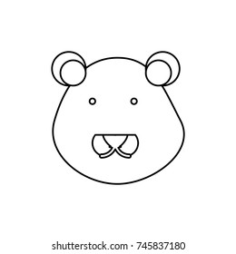 lion vector illustration