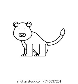 lion vector illustration